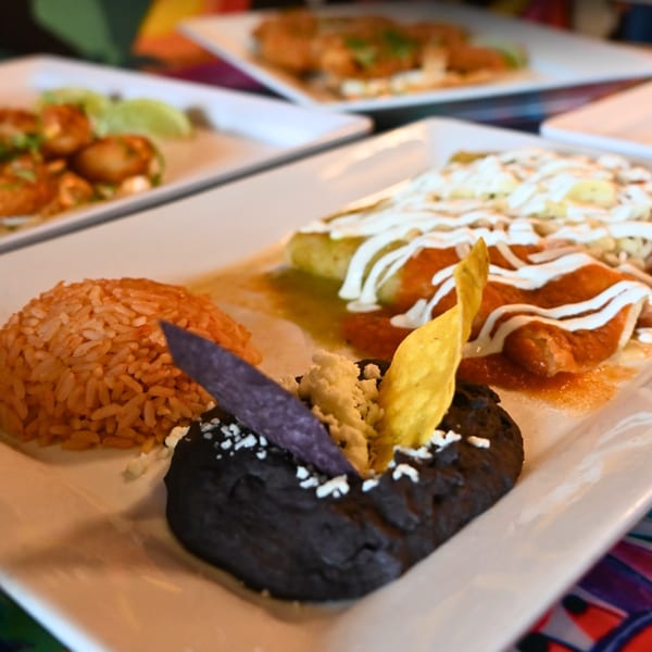 Mexican enchiladas with rice, black beans, and tortilla chips on a white plate.