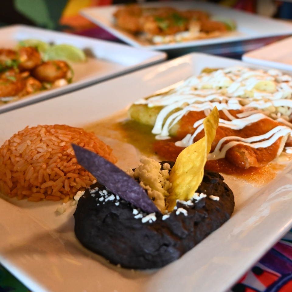 Mexican enchiladas with rice, black beans, and tortilla chips on a white plate.