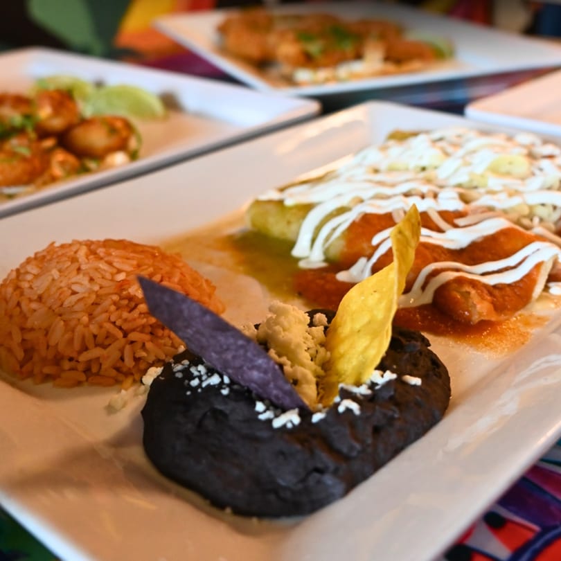 Mexican enchiladas with rice, black beans, and tortilla chips on a white plate.